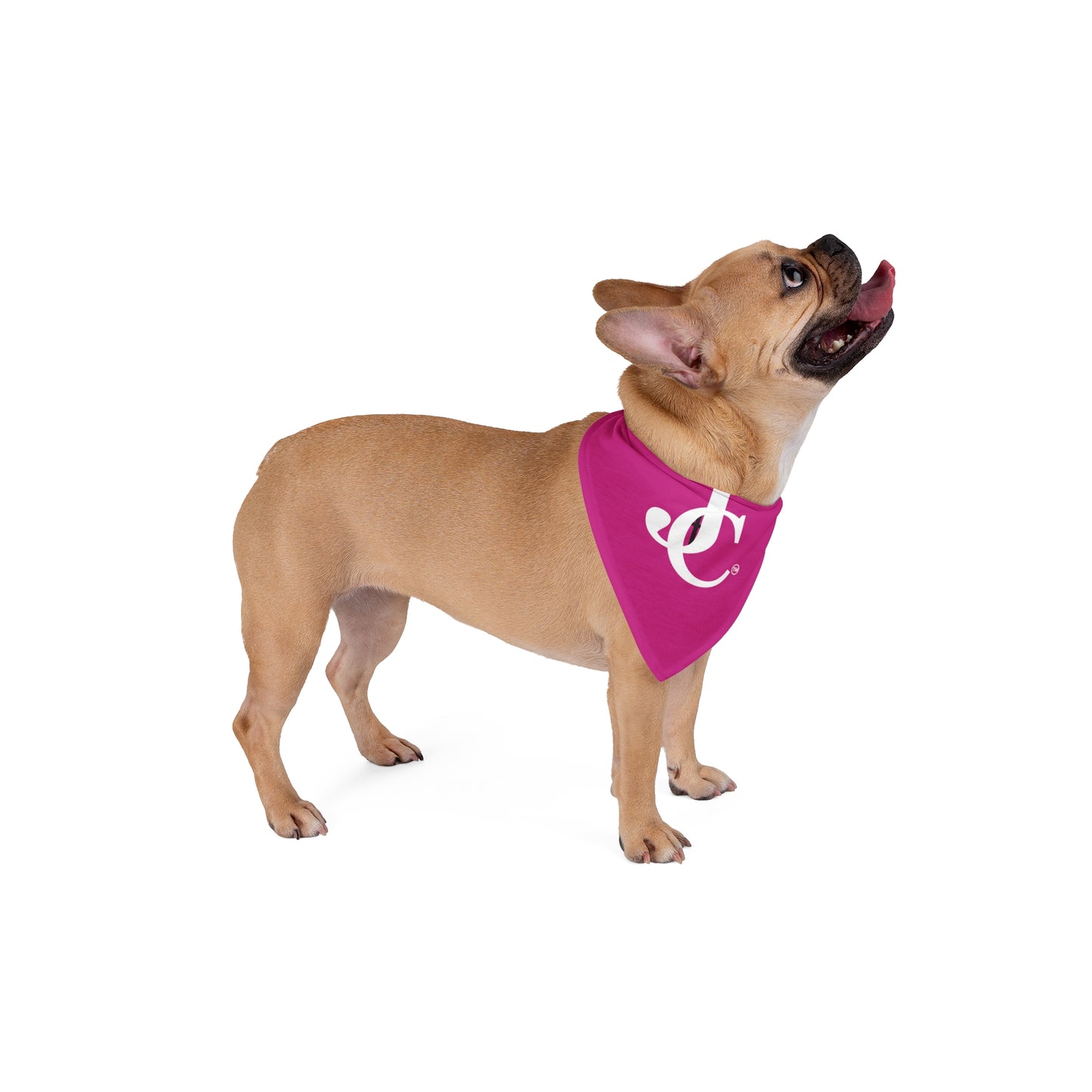Jesus Christ Pet Bandana